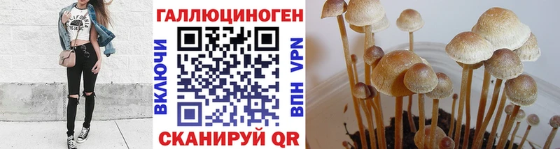 купить закладку  Петушки  Псилоцибиновые грибы мицелий 
